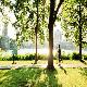 City Park