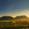 New Horizons