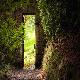 Secret Garden