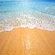 Tropical Sands