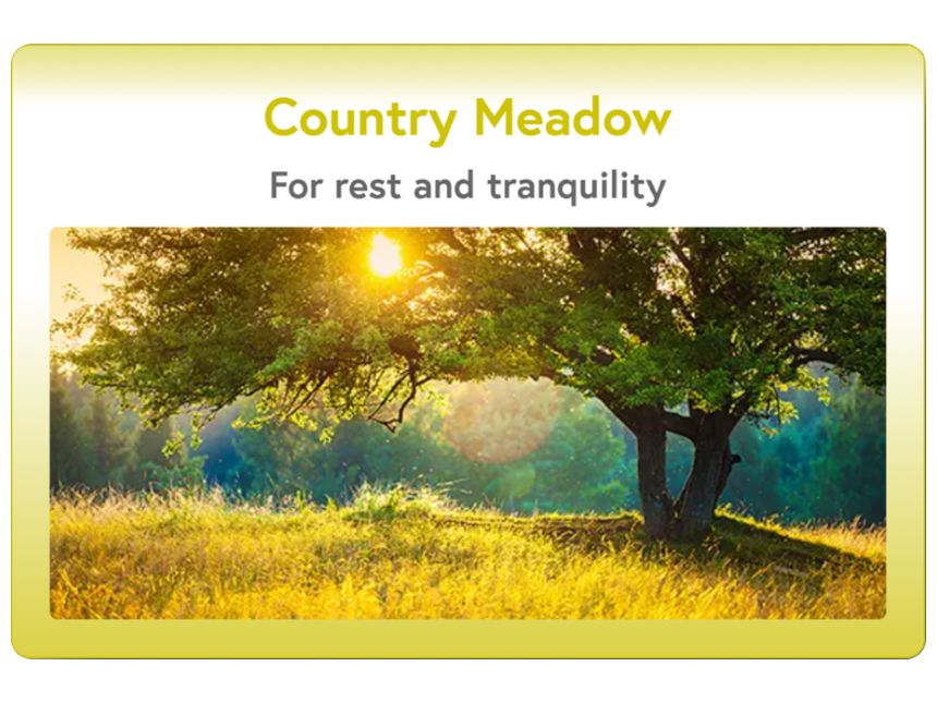 Country Meadow