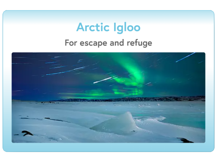Arctic Igloo